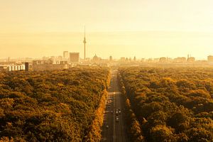 Berliner Skyline mit Tiergarten und Fernsehturm