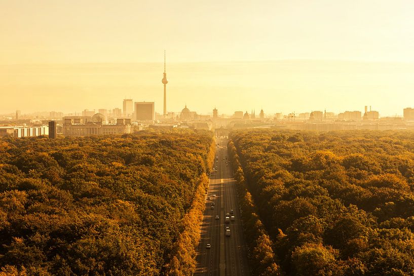 Berliner Skyline mit Tiergarten und Fernsehturm von Frank Herrmann
