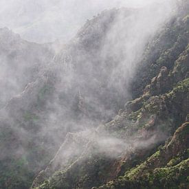 Teneriffa - Berghänge mit Morgennebel - schöne Bilder von Ronald Harmsen