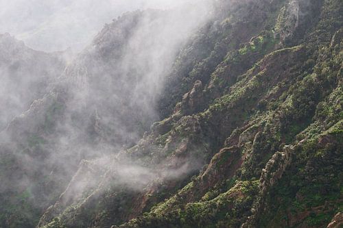 Tenerife - mountain slopes with morning mist - beautiful images