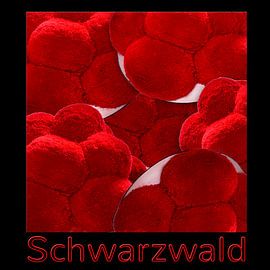 Black Forest Hats 2.0 by Ingo Laue