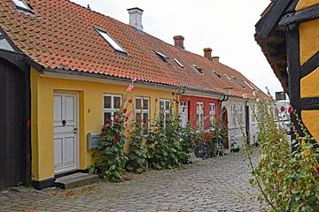 Denemarken, Fåborg huizen aan Holkegade van Tjamme Vis
