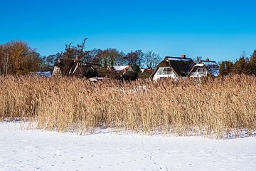 Bodden met huizen in Born op Fischland-Darß in de winter van Rico Ködder