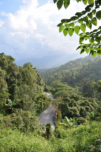 The beautiful mountain road to Pai by Marcha Meijer