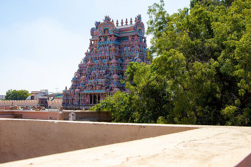 Gopuram des Sri Ranganatha Swamy-Tempels, Trichy von Martijn
