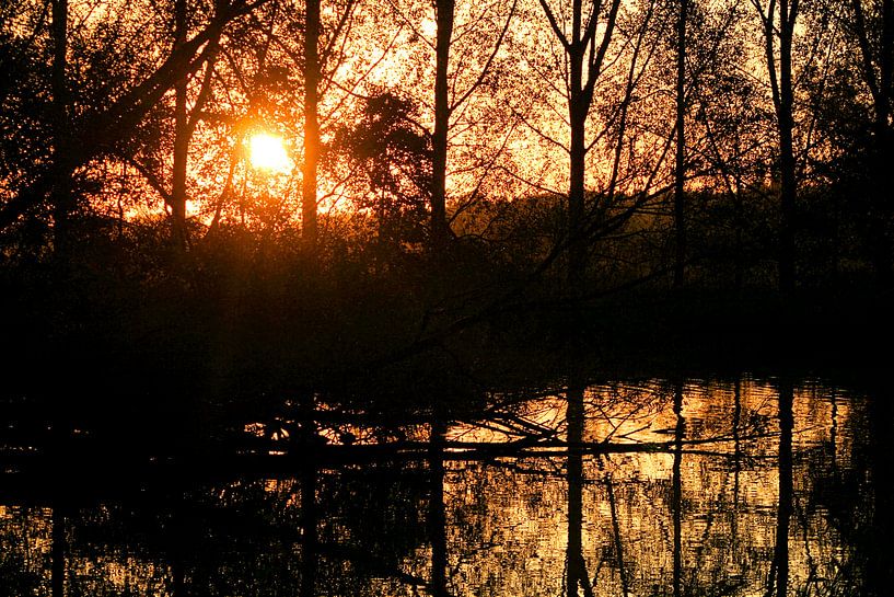 Zonsopkomst bij de waterkant van Leo Huijzer