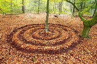Zen