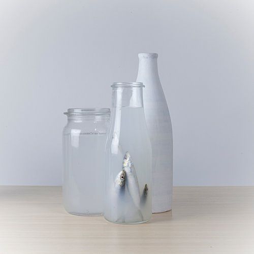 Flaschen und Fische von gelske kwikkel