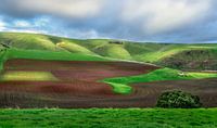 Green Hills and Red Earth van Jessy Willemse thumbnail