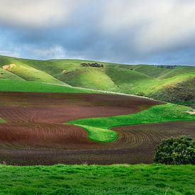 Green Hills and Red Earth von Jessy Willemse