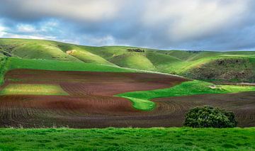 Green Hills and Red Earth