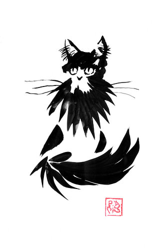 bearded cat