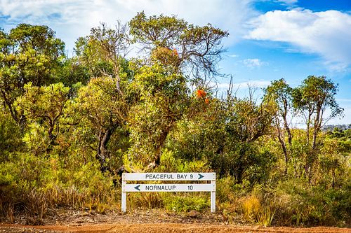 Un guide dans l'Outback infini