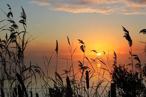 Om wakker bij te worden