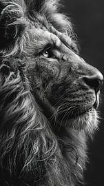 Die Big 5: Profil der Stärke von ByNoukk