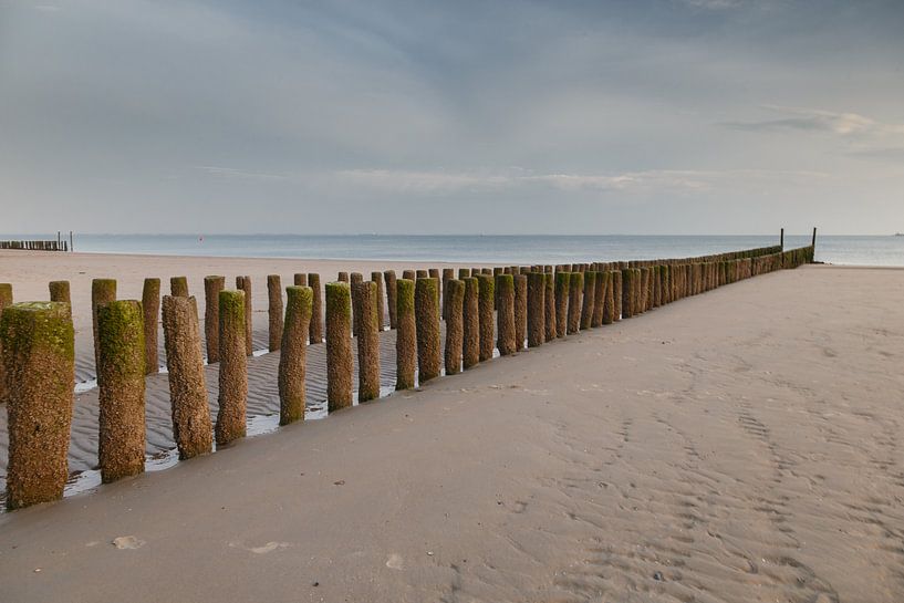 Wellenbrecher Zoutelande von Menno Schaefer