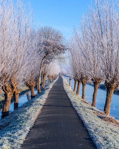 Nederlands winterlandschap van Marleen Kuijpers @themissmarple