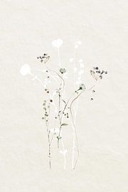 Gedämpfte botanische Elemente von Monika Strigel