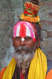 Colourful World by Chris Moll