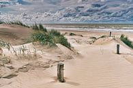 La dune avec la plage et la mer du Nord par eric van der eijk Aperçu