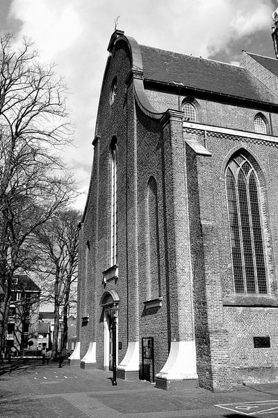 De voorgevel van de Grote Kerk in Harderwijk van Gerard de Zwaan