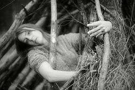 Kokon von True Color Stories