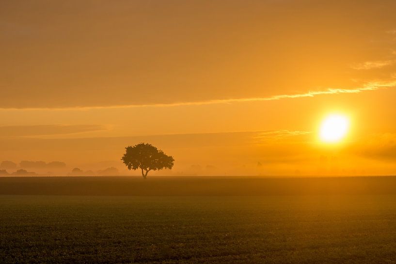 Sonnenaufgang von Robby Hendriks