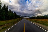 New Journey