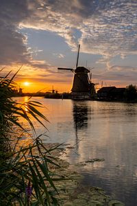 Evening after a warm day