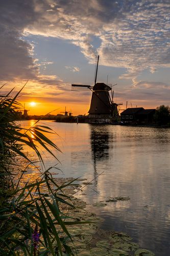 Abend nach einem warmen Tag von Jan Koppelaar Fotografie