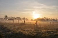 Misty sunrise