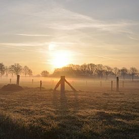 Misty sunrise van Robert Fischer