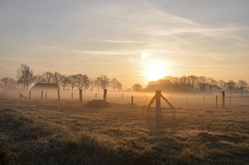 Lever de soleil brumeux par Robert Fischer