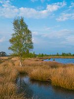 Natuur