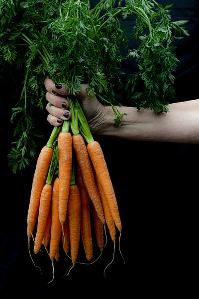 Fresh from the kitchen garden. by SO fotografie