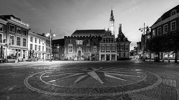 Haarlem All-Star by Scott McQuaide