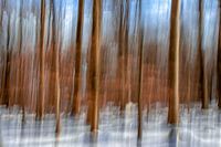 Forêt d'hiver - abstrait/ Forêt d'hiver - abstrait