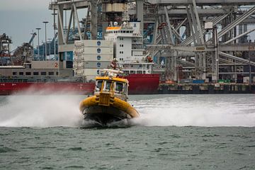 Rameurs naviguant dans le port de Maasvlakte sur scheepskijkerhavenfotografie