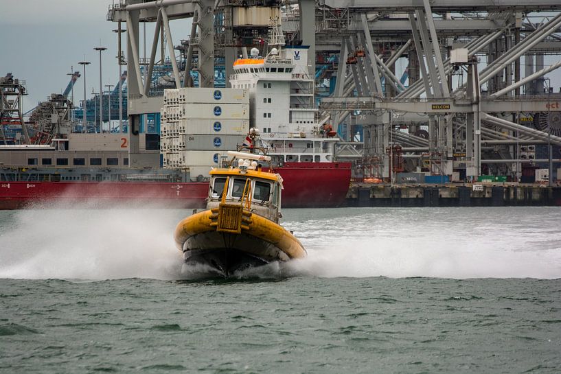 Rowers sailing in Maasvlakte harbour by scheepskijkerhavenfotografie