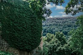 Green Odenwald