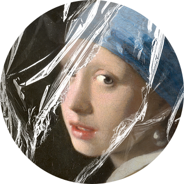 Meisje met de Parel – Almost Unwrapped van Marja van den Hurk