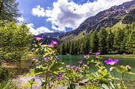 Het bergmeer Palpuognasee in Zwitserland van Werner Dieterich thumbnail