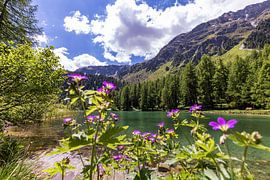 Mountain lake Palpuognasee in Switzerland by Werner Dieterich
