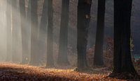 Landgoed Slangenburg, Doetinchem