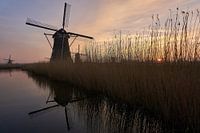 Lever de soleil sur les moulins à vent de Kinderdijk