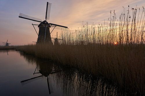 Sunrise at the windmills of Kinderdijk