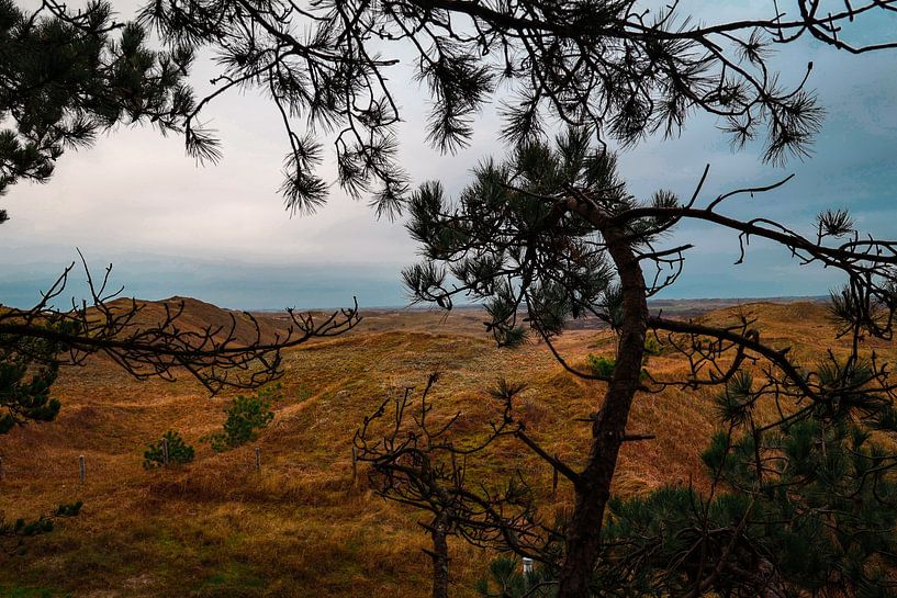 Nationalpark Texels: ein Blick auf die Ruhe und die Natur von Ilona Water