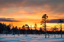 Sunset in Lapland