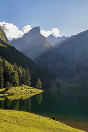 Alpines Licht von Natural Focus - Fotografie by Jenni K
