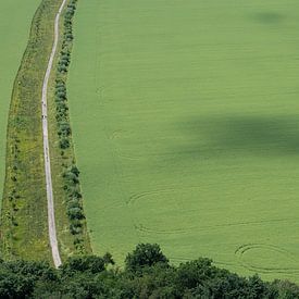 A path leads through bright green fields by Adriana Müller